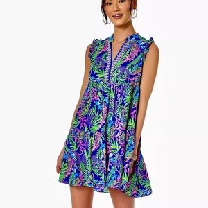 Lilly Pulitzer Briela swing Dress size XL